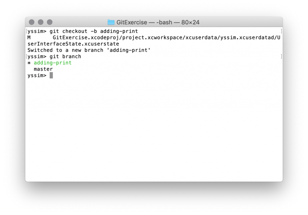 Branching in Git to Control Versions – Stanley Sim